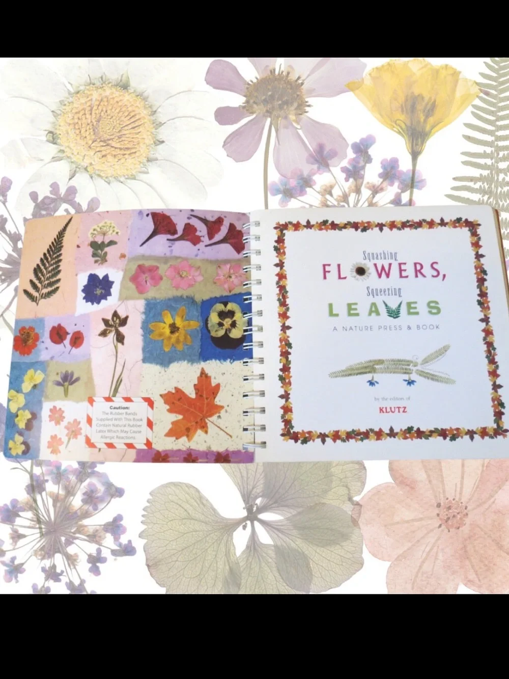 Kids “Squashing Flowers Squeezing Leaves “ Spiral Bound Book. 2001